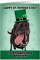 Happy St. Patrick’s Day Brother Funny Dog in Green Hat card