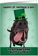 Happy St. Patrick’s Day Aunt & Uncle Dog in Green Hat card