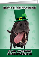 Happy St. Patrick’s Day Granddaughter Dog in Green Hat card