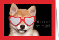 Happy Valentine’s Day For Anyone Cute Shiba Inu Puppy in Heart Glasses card