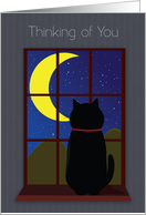Thinking of You Cat in WIndow at Night card