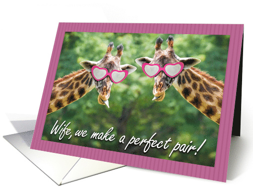 Happy Anniversary Wife Funny Giraffe Pair card (1554768)