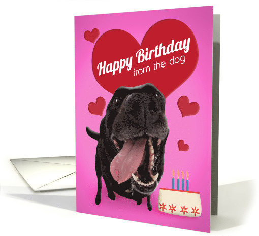 Happy Birthday from the Dog Cute Dog With Cake card (1555176)