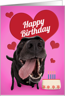 Happy Birthday For Anyone Cute Dog With Cake card