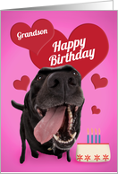 Happy Birthday Grandson Cute Dog With Cake card