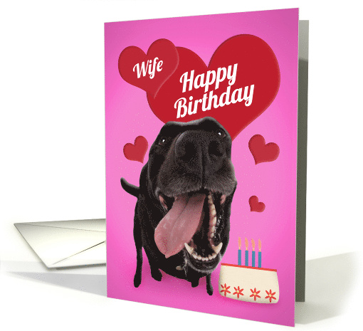 Happy Birthday Wife Cute Dog With Cake card (1555286)