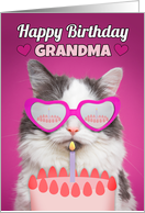 Happy Birthday Grandma Cute Cat With Birthday Cake Humor card