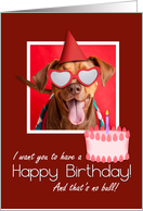 Birthday Cards With Pit Bull Terriers from Greeting Card Universe