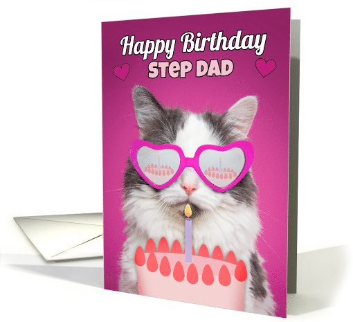 Happy Birthday Step Dad Cute Cat With Birthday Cake Humor card