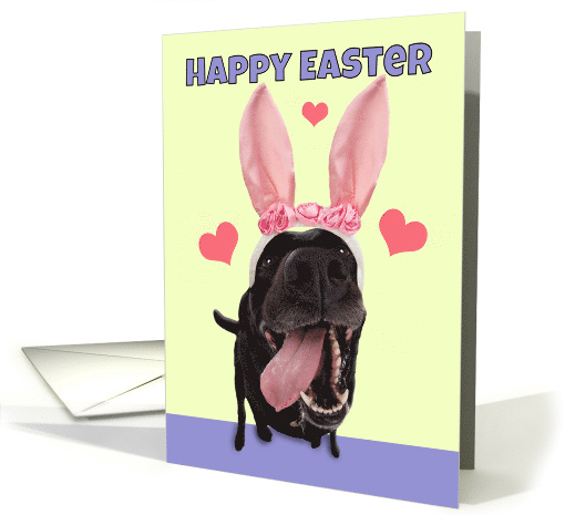 Happy Easter For Anyone Name Dog in Bunny Ears Humor card (1555834)