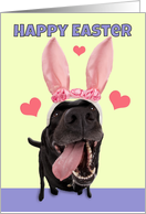 Happy Easter For Anyone Name Dog in Bunny Ears Humor card