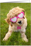 Happy Valentine’s Day For Anyone Cute Goldendoodle Puppy Humor card