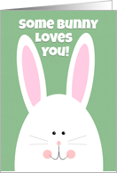 Happy Easter For Anyone Some Bunny Loves You card