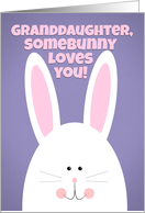 Happy Easter Granddaughter SomeBunny Loves You card