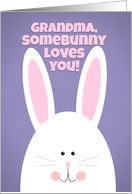 Happy Easter Grandma SomeBunny Loves You card