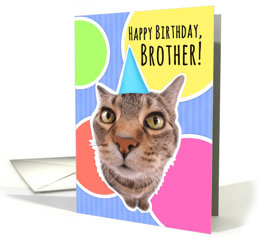 Happy Birthday Brother Cute Cat in Party Hat card (1556254)