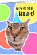 Happy Birthday Brother Cute Cat in Party Hat card
