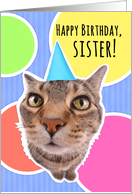Happy Birthday Sister Cute Cat in Party Hat card
