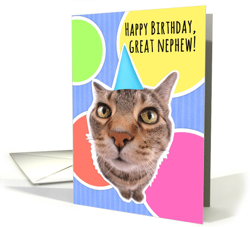 Happy Birthday Great Nephew Cute Cat in Party Hat card (1556260)