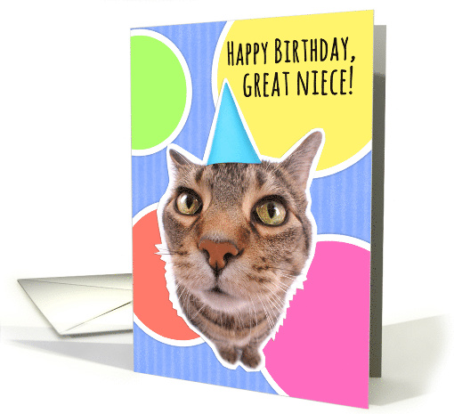 Happy Birthday Great Niece Cute Cat in Party Hat card (1556262)