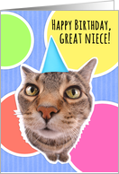 Happy Birthday Great Niece Cute Cat in Party Hat card