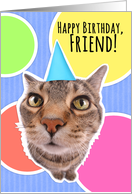 Happy Birthday Friend Cute Cat in Party Hat card