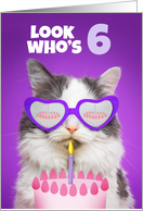 Happy Birthday 6 Year Old Cute Cat WIth Cake Humor card