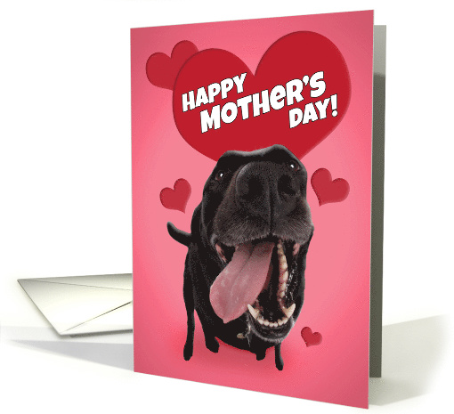 Happy Mother's Day For Anyone Cute Black Lab with Hearts Humor card