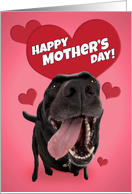 Happy Mother’s Day For Anyone Cute Black Lab with Hearts Humor card