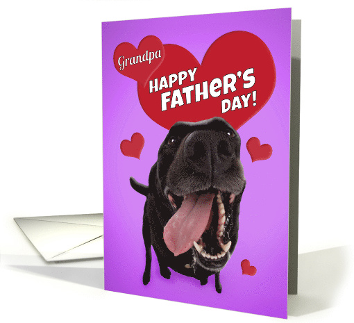 Happy Father's Day Grandpa Cute Black Lab with Hearts Humor card