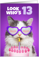 Happy Birthday 13 Year Old Cute Cat WIth Cake Humor card