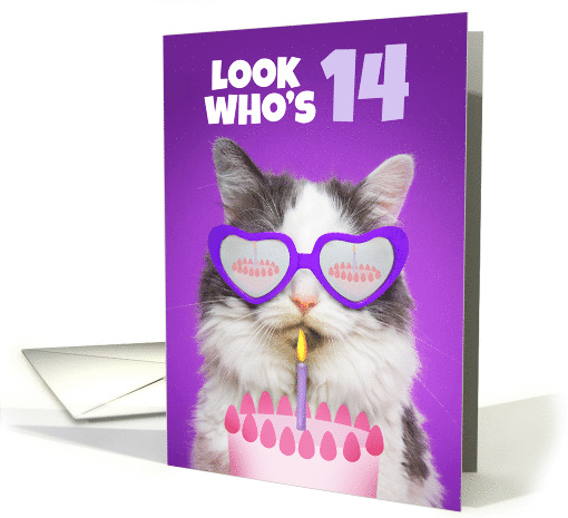 Happy Birthday 14 Year Old Cute Cat WIth Cake Humor card (1557024)