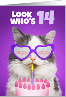 Happy Birthday 14 Year Old Cute Cat WIth Cake Humor card