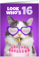 Happy Birthday 16 Year Old Cute Cat WIth Cake Humor card