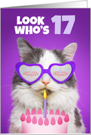 Happy Birthday 17 Year Old Cute Cat WIth Cake Humor card