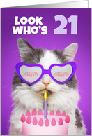 Happy Birthday 21 Year Old Cute Cat WIth Cake Humor card