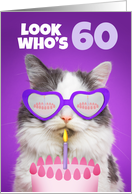 Happy Birthday 60 Year Old Cute Cat WIth Cake Humor card