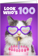 Happy Birthday 100 Year Old Cute Cat WIth Cake Humor card