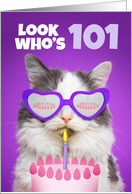 Happy Birthday 101 Year Old Cute Cat WIth Cake Humor card