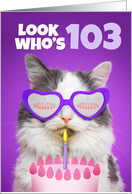 Happy Birthday 103 Year Old Cute Cat WIth Cake Humor card