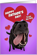 Happy Father’s Day From the Dog Cute Black Lab with Hearts Humor card