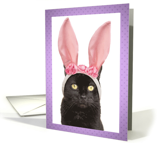 Happy Easter For Anyone Funny Bunny Cat in Rabbit Ears Humor card
