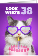 Happy Birthday 38 Year Old Cute Cat WIth Cake Humor card