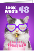 Happy Birthday 48 Year Old Cute Cat WIth Cake Humor card