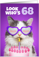 Happy Birthday 68 Year Old Cute Cat WIth Cake Humor card