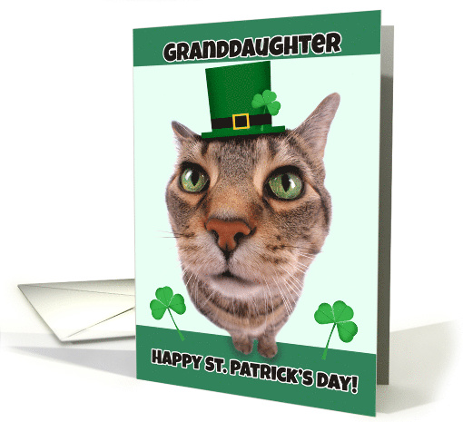 Happy St. Patrick's Day Granddaughter Cat Humor card (1558212)