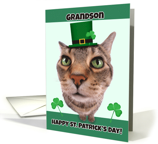 Happy St. Patrick's Day Grandson Cat Humor card (1558216)