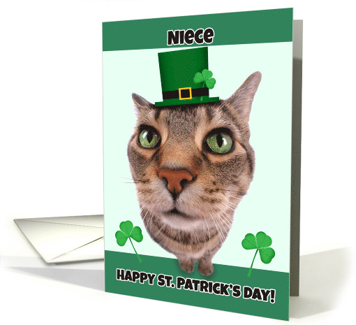 Happy St. Patrick's Day Niece Cat Humor card (1558220)