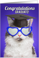 Congratulations Graduate For Anyone Cute Cat in Grad Cap Humor card