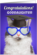 Congratulations Graduate Goddaughter Cute Cat in Grad Cap Humor card